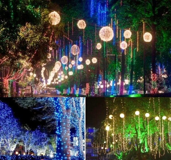  ठाण्यात झाडांवर रोषणाई म्हणजे पर्यावरणावर थेट हल्ला!