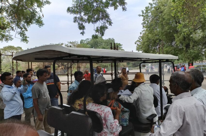 पर्यटकांवर मधमाशांचा हल्ला …