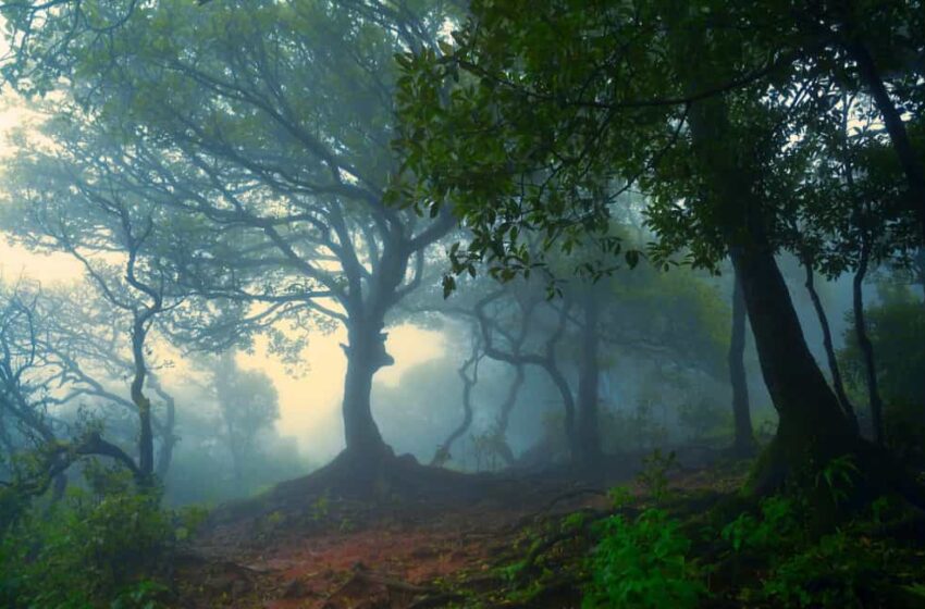  महाबळेश्वरमध्ये भेट देण्याची ठिकाणे