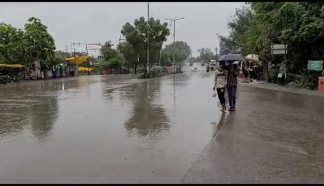  यवतमाळ सर्वदूर संततधार पाऊस
