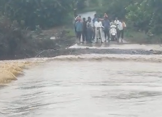 कारंजा, मानोरा या तालुक्यात पावसाचा हाहाकार!