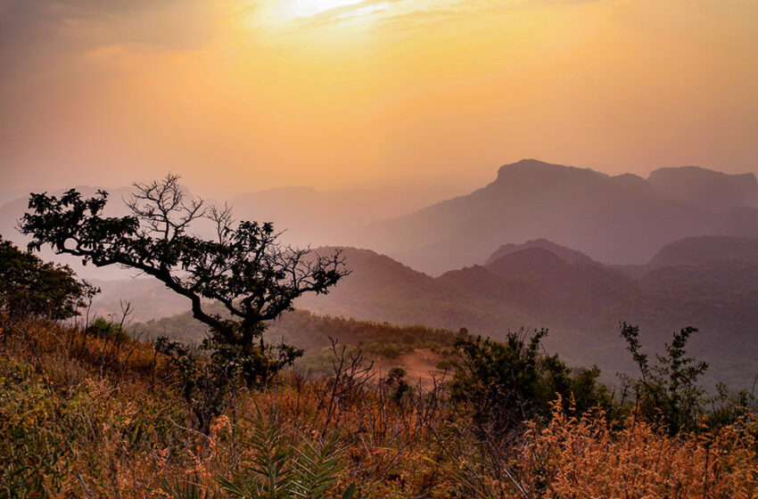  विस्मयकारक निसर्गाचे निवासस्थान, पचमढी