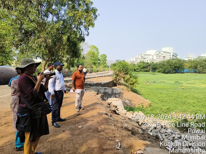  पवई तलावातील १३ हजार ९२० मेट्रिक टन  जलपर्णी काढली