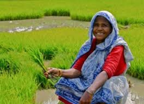  UN कडून २०२६ हे ‘जागतिक शेतकरी महिला वर्ष’ म्हणून घोषित