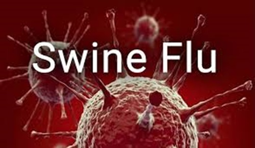  नाशिकमध्ये swine flu चा कहर