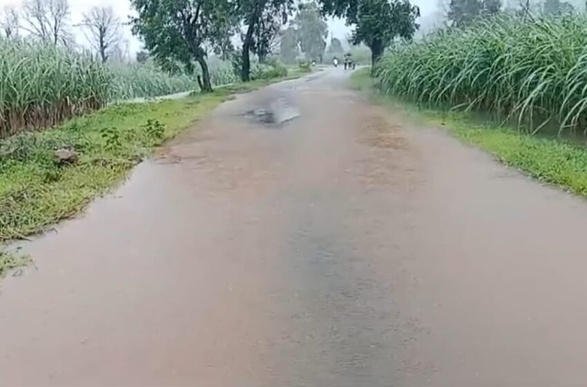  कोल्हापूर जिल्ह्यात पावसाचा जोर ओसरला , पूरस्थिती कायम