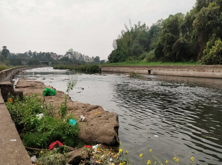  PMRDA च्या हद्दीतील या नद्या होणार प्रदूषण मुक्त