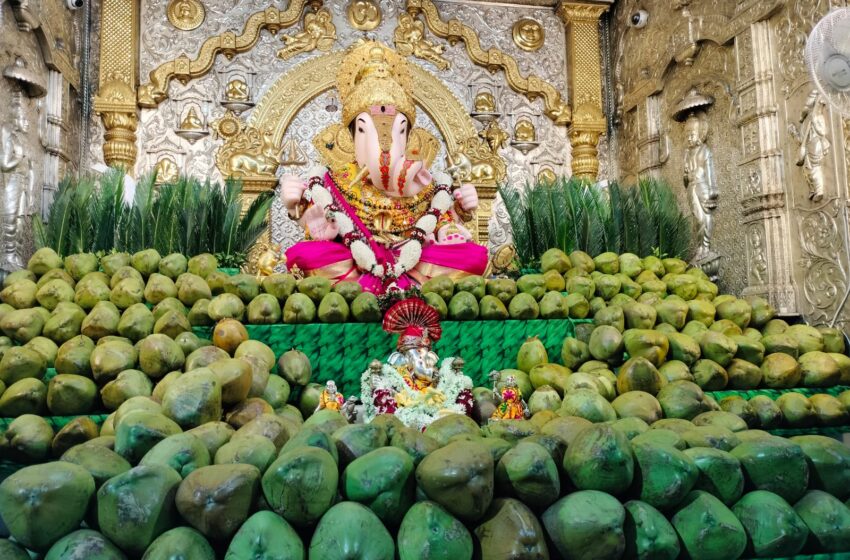  ५ हजार शहाळ्यांमध्ये ‘दगडूशेठ’ गणपती बाप्पा विराजमान