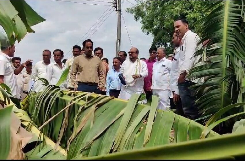  अवकाळी पावसामुळेजळगावात ७ हजारपेक्षा अधिक शेतकऱ्यांना फटका
