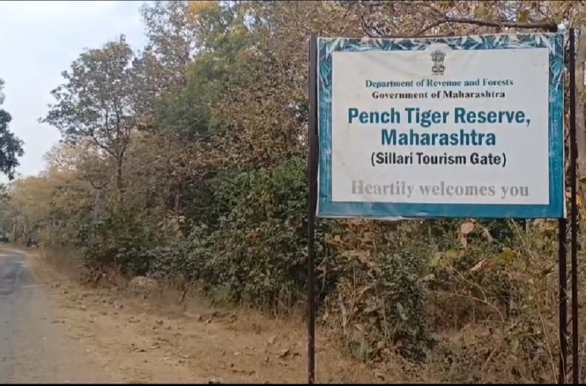  प्राण्यांच्या गणनेसाठी पेंच व्याघ्रप्रकल्प सज्ज