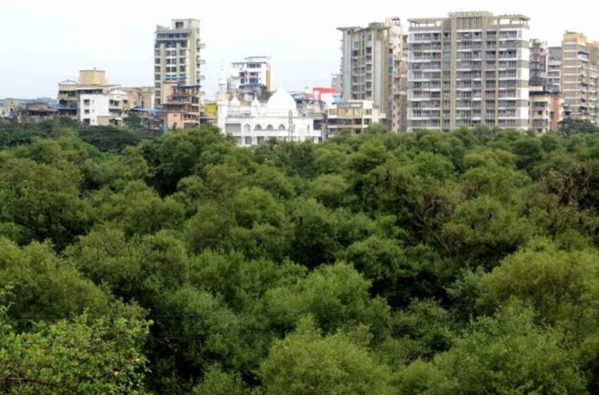  वर्सोवा- भाईंदर किनारी रस्त्याला पर्यावरण मंत्रालयाची मंजुरी