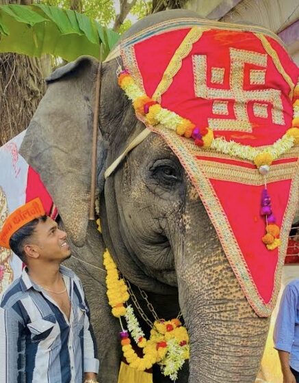 माधुरी हत्तीणीला नांदणीत परत आणण्यासाठी मुख्यमंत्र्यांचा पुढाकार