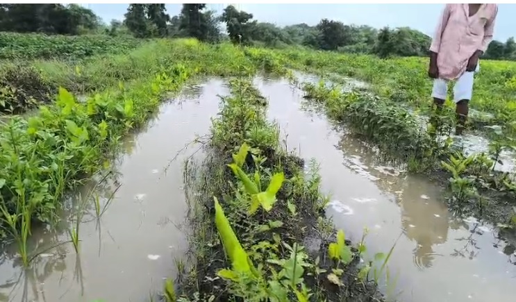  किनखेडा गावात ढगफुटी, नदी नाल्याना पूर ….