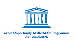 भारतीय तरुणांना UNESCO यूनेस्कोमध्ये काम करण्याची सुवर्णसंधी