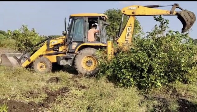  मोसंबीला योग्य बाजारभाव मिळत नसल्याने बागेवर फिरवला जेसीबी.