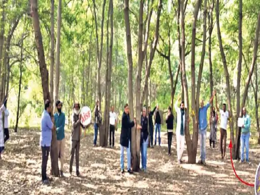  तपोवनातील १८०० वृक्षांच्या कत्तली विरोधात एकवटले नाशिककर