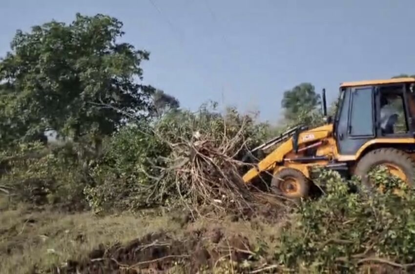  शेतकऱ्याने 11 वर्ष जोपासलेली मोसंबीची बाग जेसीबीने केली नष्ट…