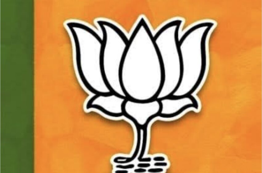  राज्यात ६५ उमेदवार बिनविरोध, भाजपा आघाडीवर