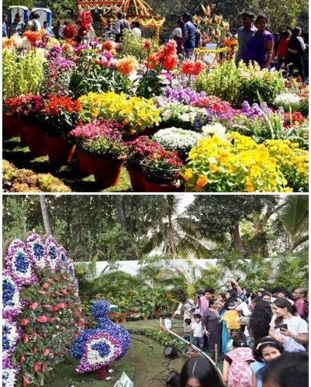  8 फेब्रुवारी पासून राणीबागेत पुष्पोत्सव