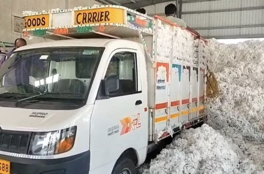  सीसीआय ची कापूस खरेदी आज पासून बंद