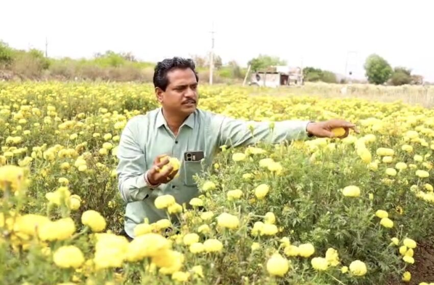  फुलशेती मधून दरवळला आत्मनिर्भरतेचा सुगंध !